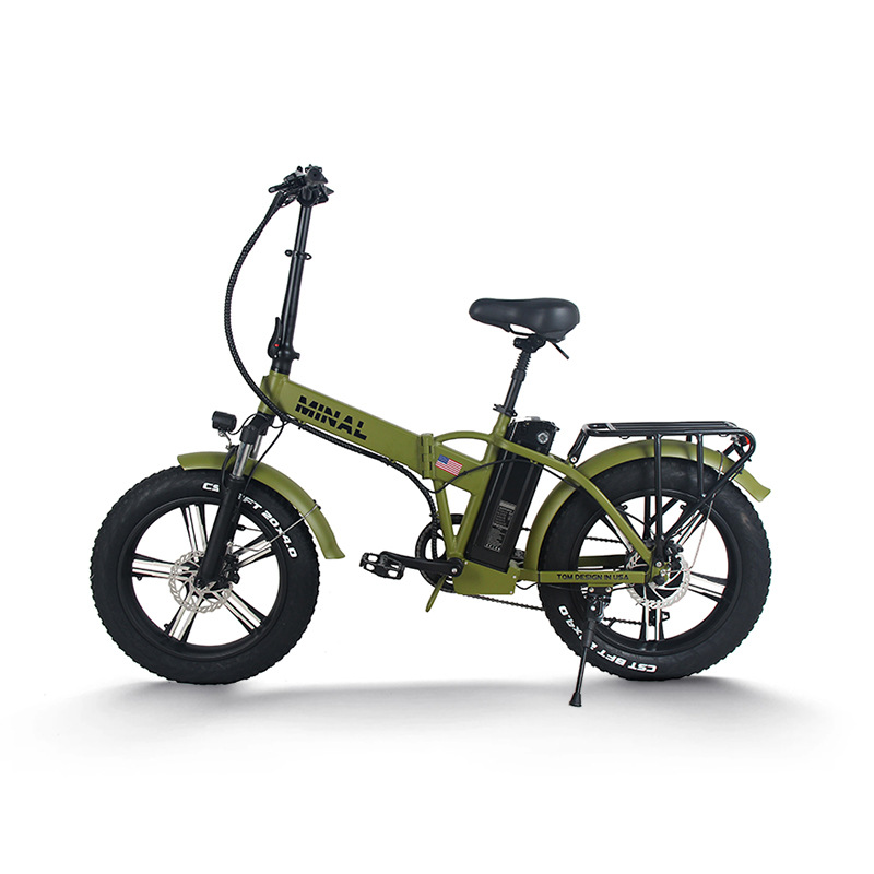 48V 350W 10.5Ah FTC200 Elektri - Cycling Gear And Equipment recensie en prijs